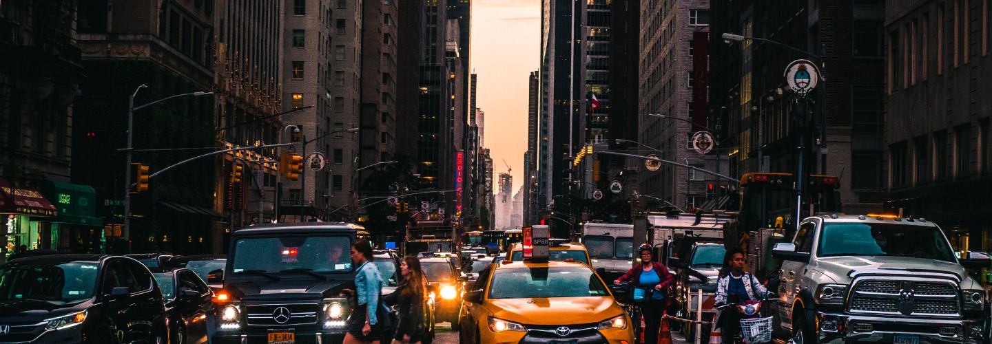 Description of the Project